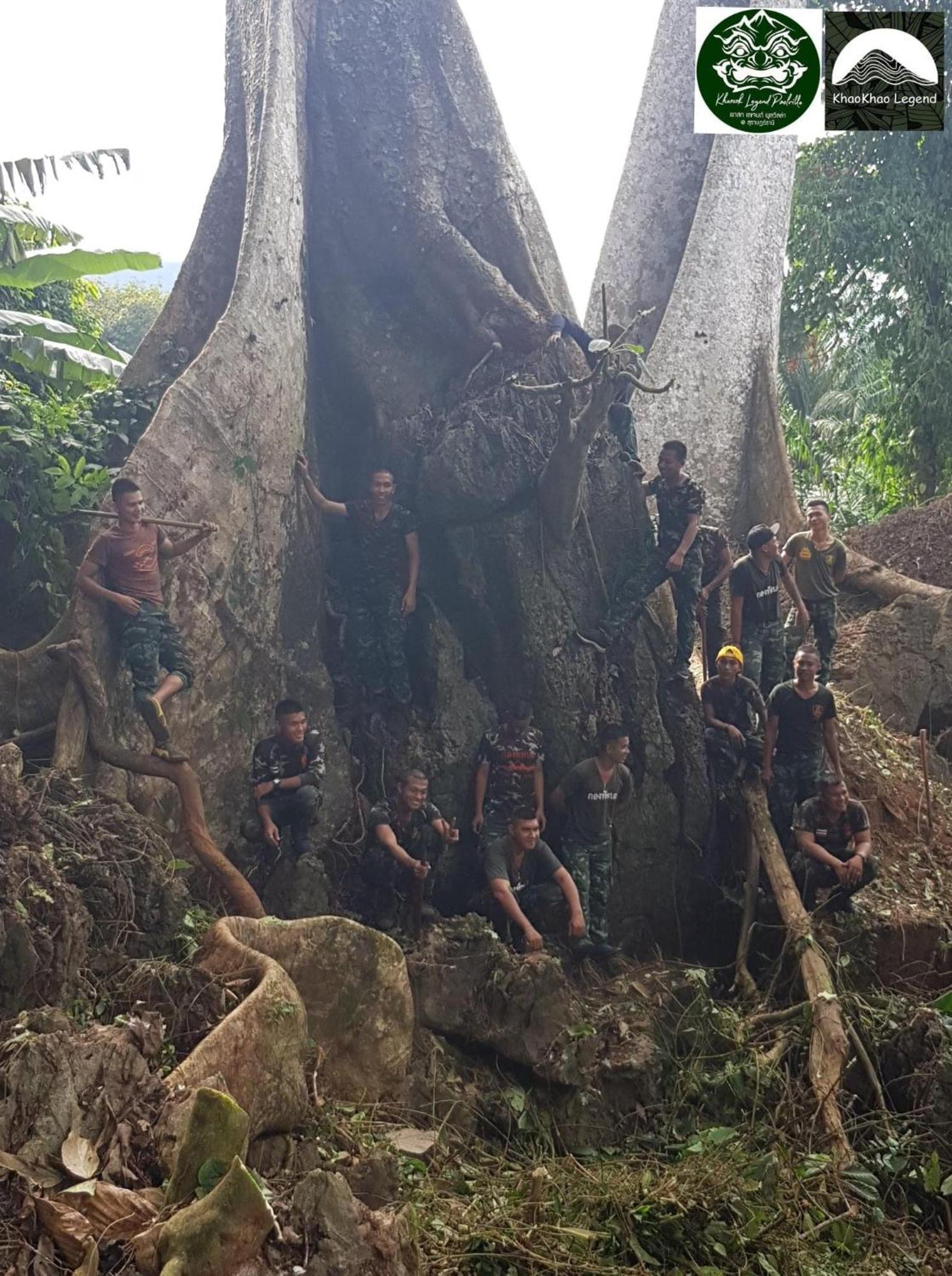 Khaosok Legend Villa Khao Sok National Park ภายนอก รูปภาพ
